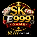 SK E999 Game