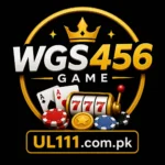 WGS456 Game