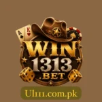 Win313